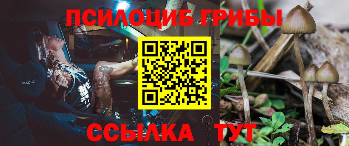 Астрахань  Псилоцибиновые грибы мухоморы  Вход с VPN 